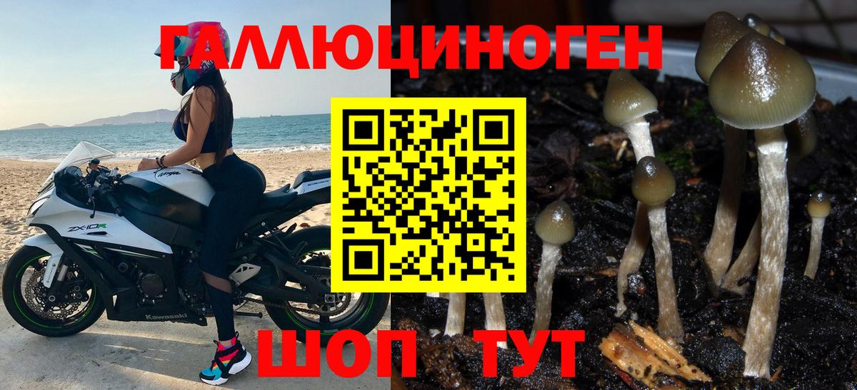 Пушкино  Галлюциногенные грибы Magic Shrooms  Вход с VPN  наркотики  Галлюциногенные грибы мицелий 