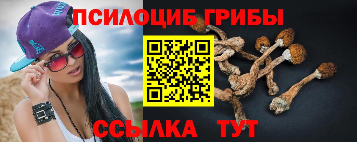 Псилоцибиновые грибы мухоморы Пушкино